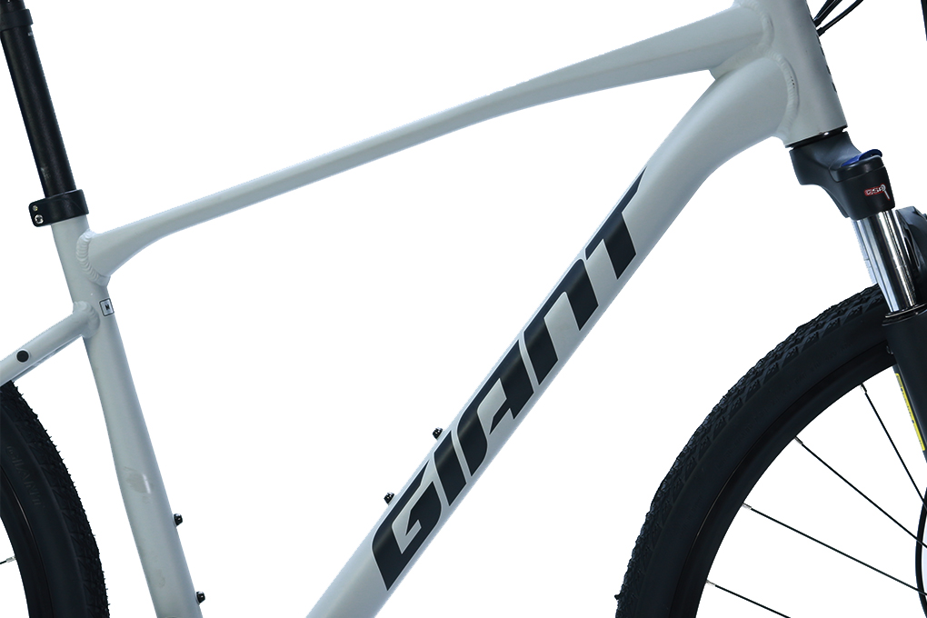 GIANT ROAM 3 DISC 