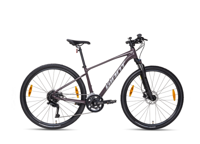 XE ĐẠP ĐỊA HÌNH MTB GIANT ROAM 2 DISC, PHANH ĐĨA, BÁNH 700C – 2024